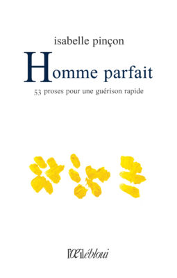 couverture Homme parfait